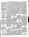 Dominica Guardian Wednesday 14 March 1894 Page 3