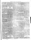 Dominica Guardian Wednesday 28 March 1894 Page 3