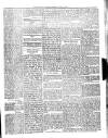 Dominica Guardian Wednesday 04 April 1894 Page 3