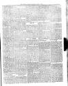 Dominica Guardian Wednesday 11 April 1894 Page 3
