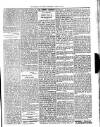 Dominica Guardian Wednesday 25 April 1894 Page 3