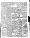 Dominica Guardian Wednesday 02 May 1894 Page 3