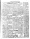 Dominica Guardian Wednesday 09 May 1894 Page 3