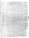 Dominica Guardian Wednesday 16 May 1894 Page 3