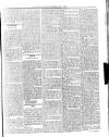 Dominica Guardian Wednesday 23 May 1894 Page 3
