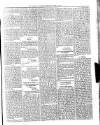 Dominica Guardian Wednesday 13 June 1894 Page 3