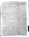 Dominica Guardian Wednesday 27 June 1894 Page 3