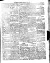 Dominica Guardian Wednesday 04 July 1894 Page 3