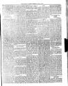 Dominica Guardian Wednesday 11 July 1894 Page 3