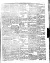 Dominica Guardian Wednesday 18 July 1894 Page 3