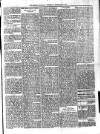 Dominica Guardian Wednesday 26 February 1896 Page 3