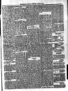 Dominica Guardian Wednesday 11 March 1896 Page 3