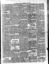 Dominica Guardian Wednesday 20 May 1896 Page 3