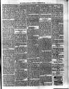 Dominica Guardian Wednesday 23 December 1896 Page 3