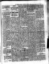 Dominica Guardian Wednesday 05 January 1898 Page 3