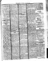 Dominica Guardian Wednesday 16 January 1901 Page 3