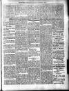 Dominica Guardian Saturday 07 November 1903 Page 3