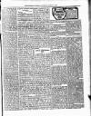 Dominica Guardian Saturday 18 March 1905 Page 3