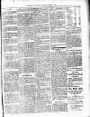 Dominica Guardian Thursday 18 March 1920 Page 3