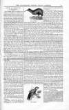 Illustrated Crystal Palace Gazette Saturday 01 April 1854 Page 3