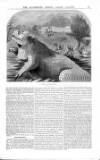 Illustrated Crystal Palace Gazette Friday 09 June 1854 Page 9