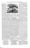 Illustrated Crystal Palace Gazette Tuesday 01 August 1854 Page 5