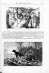 Illustrated Midland News Saturday 11 June 1870 Page 5