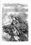 Illustrated Midland News Saturday 24 December 1870 Page 17
