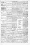 Tichborne Gazette Saturday 20 November 1875 Page 3
