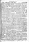 Courier and West-End Advertiser Saturday 19 August 1871 Page 7