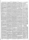 Courier and West-End Advertiser Saturday 19 February 1876 Page 5