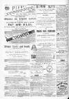 Courier and West-End Advertiser Saturday 10 July 1880 Page 8