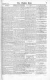 Weekly Echo Saturday 08 November 1873 Page 7
