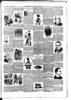 Faversham News Saturday 27 October 1900 Page 3