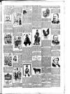 Faversham News Saturday 03 November 1900 Page 3