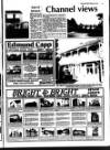 Deal, Walmer & Sandwich Mercury Thursday 09 February 1989 Page 33