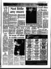Deal, Walmer & Sandwich Mercury Thursday 19 October 1989 Page 17