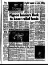 Deal, Walmer & Sandwich Mercury Thursday 09 November 1989 Page 41