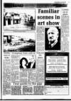 Deal, Walmer & Sandwich Mercury Thursday 24 January 1991 Page 17