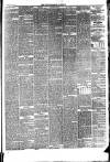 Howdenshire Gazette Friday 14 May 1875 Page 3