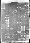 Howdenshire Gazette Friday 21 May 1875 Page 3