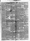 Haverhill Echo Saturday 17 November 1888 Page 3