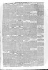 Haverhill Echo Saturday 14 April 1894 Page 3