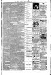 Essex Weekly News Friday 19 July 1872 Page 3