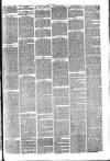 Hinckley News Saturday 11 July 1874 Page 3