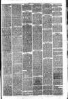 Hinckley News Saturday 01 August 1874 Page 3