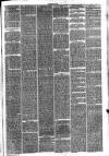 Hinckley News Saturday 23 January 1875 Page 3