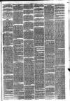 Hinckley News Saturday 06 February 1875 Page 3