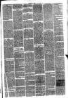 Hinckley News Saturday 13 February 1875 Page 3
