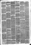 Hinckley News Saturday 27 February 1875 Page 3